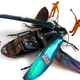Image for article titled Cyborg taxidermy transforms beetles into airplanes and buses